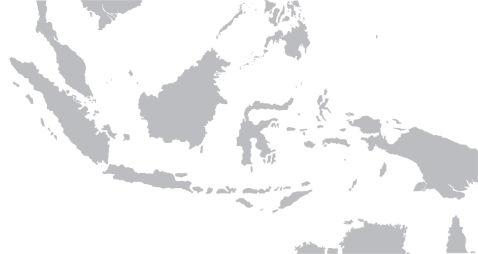 네덜란드의 인도네시아 침략