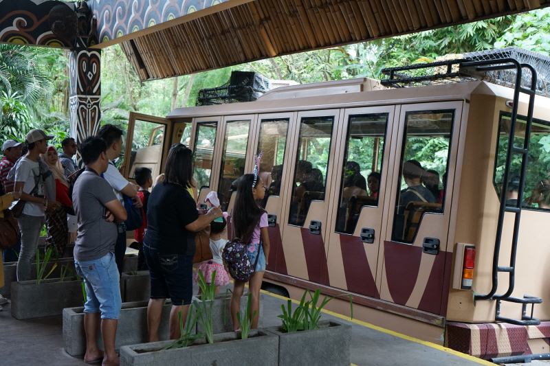 발리 사파리 버스