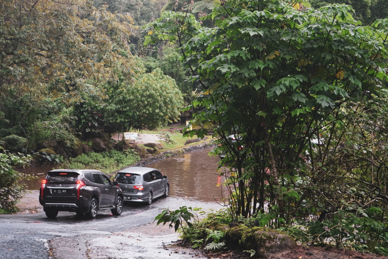 사파리 드라이빙 코스