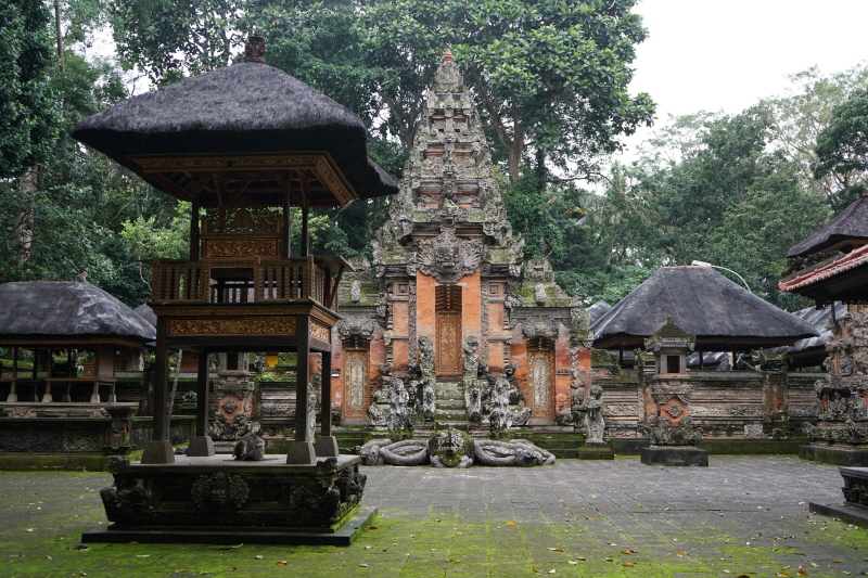몽키 포레스트 사원