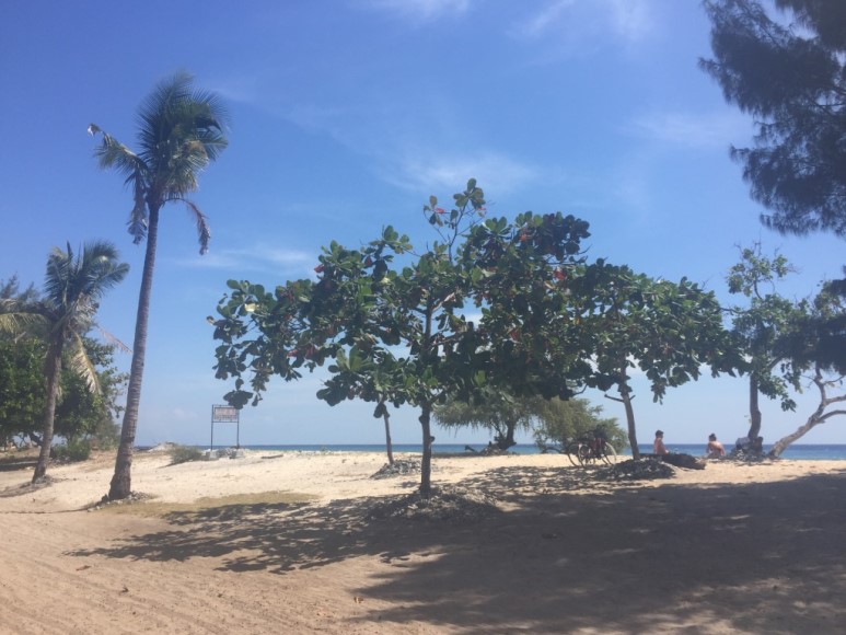 길리섬 윤식당 길리섬 윤식당