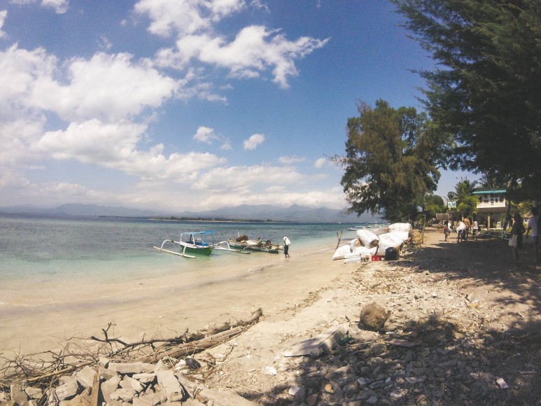 스노클링 스노클링