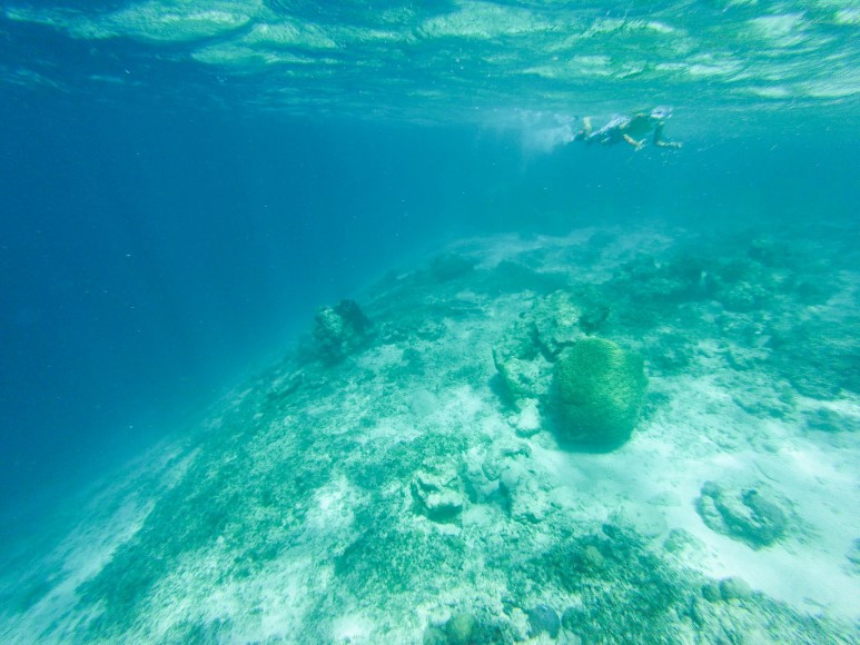 길리섬 스노쿨링 길리섬 스노쿨링
