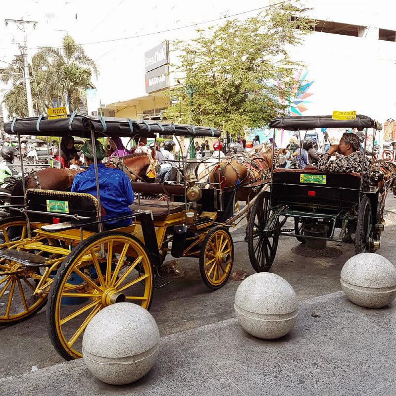 말리오보로 마차