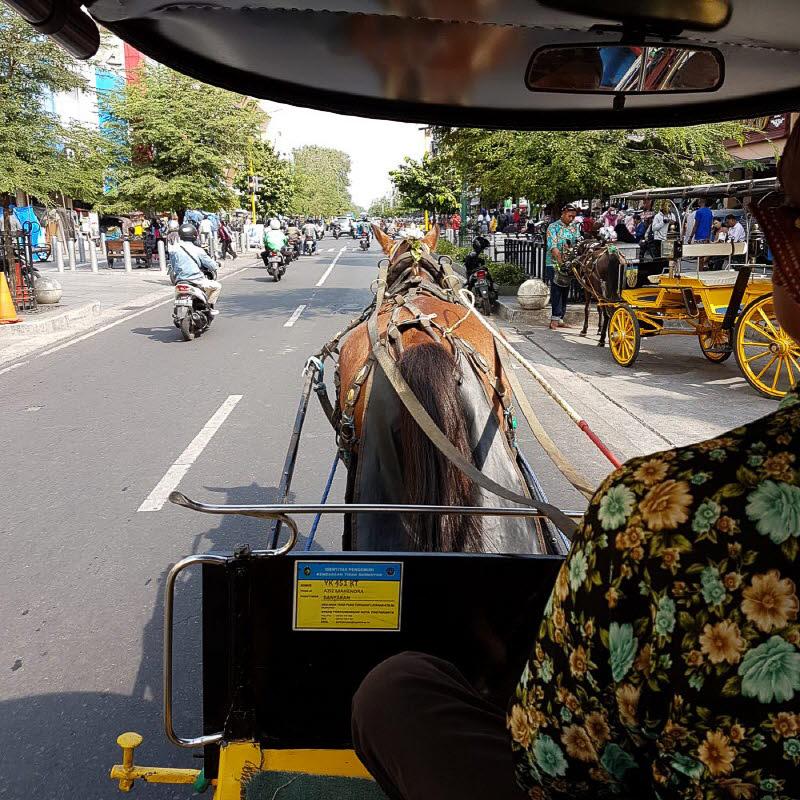 말리오보로 마차 타기