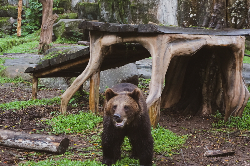 보고르 사파리 공원