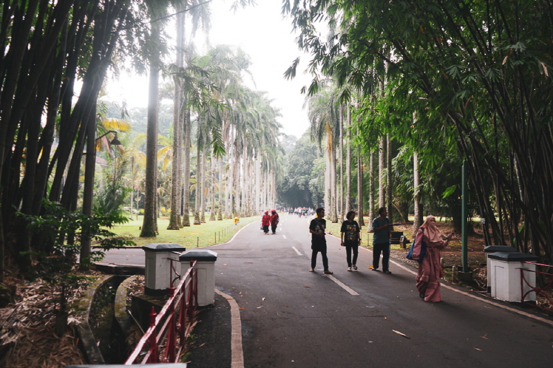보고르 식물원