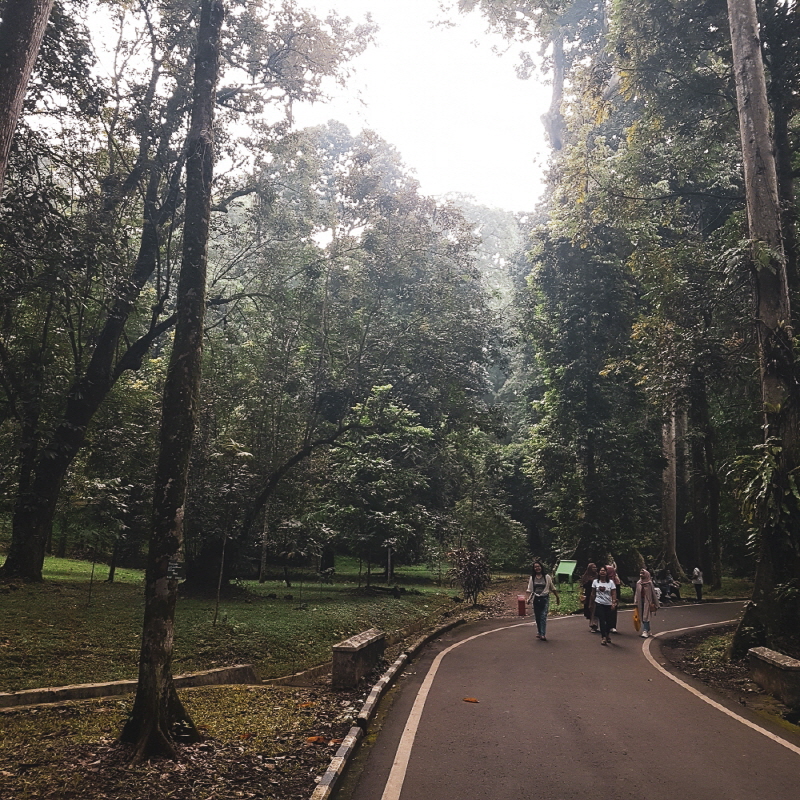 자카르타 보고르 식물원