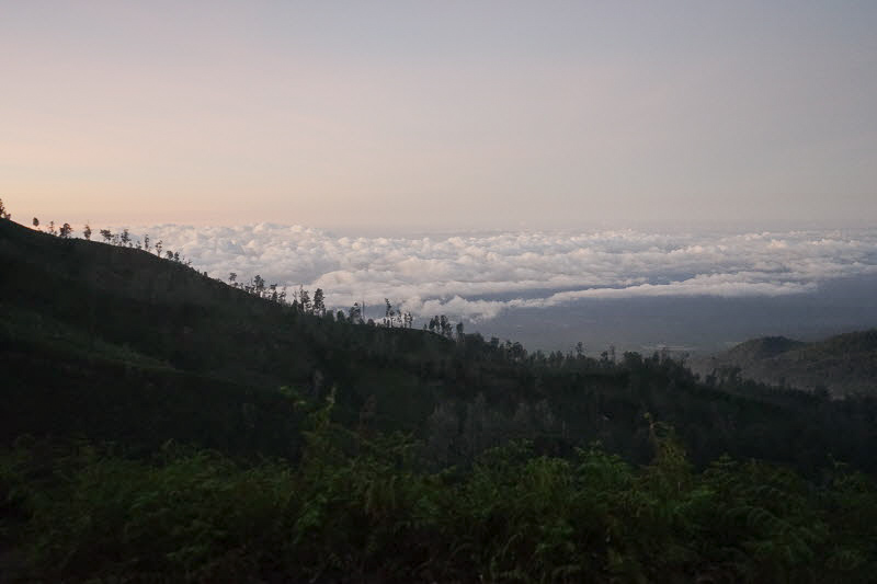 이젠 트래킹 길