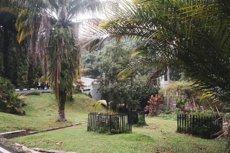 bogor botanical park