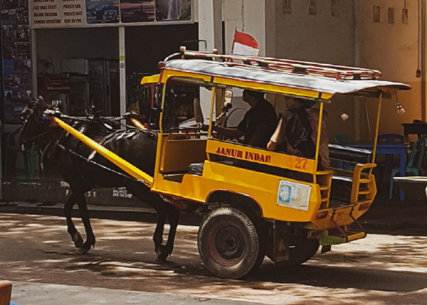 길리 찌도모 마차