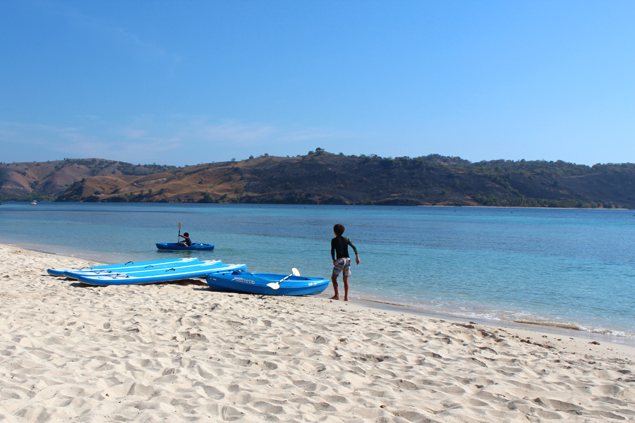 패들보트 패들보트