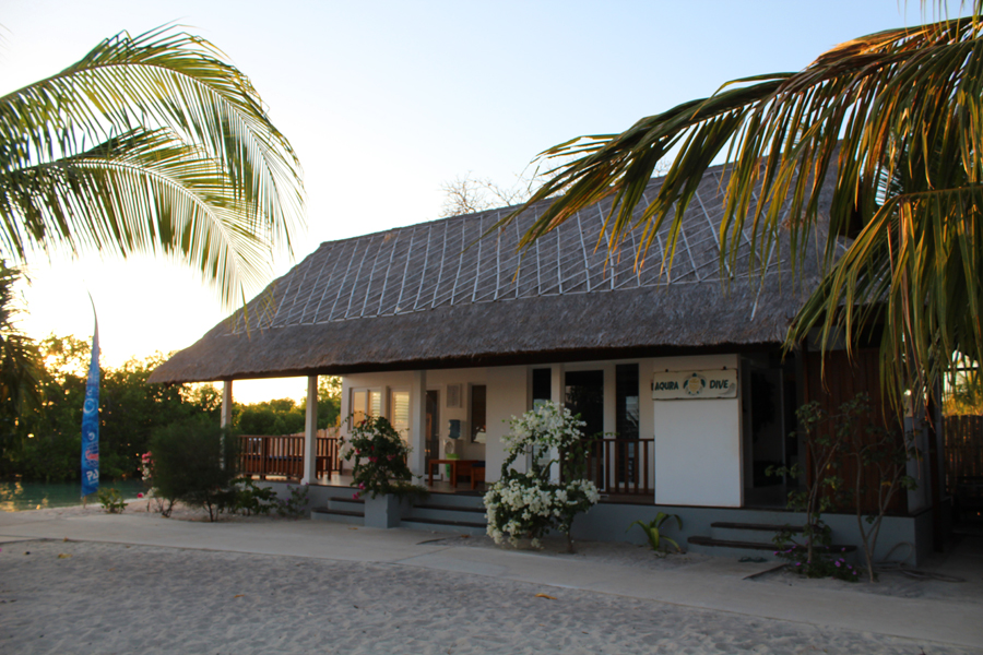 아쿠아센터 아쿠아센터