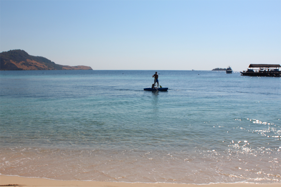 패들보트 패들보트