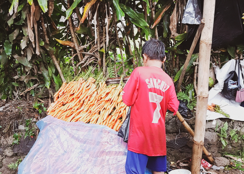 따만 사파리 여행 당근 구입