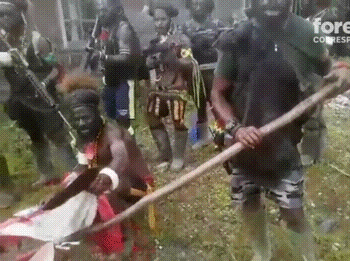 papua independence 인도네시아 파푸아 독립